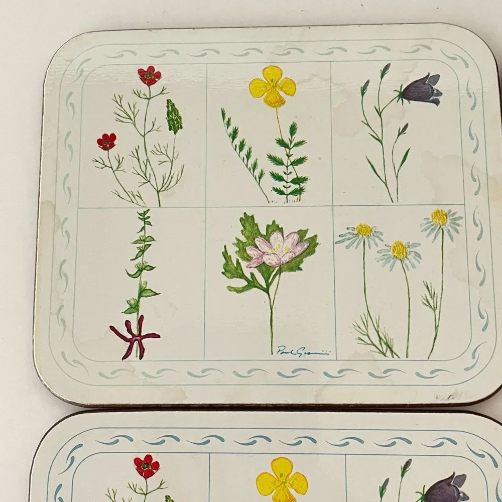 Vintage Jason Drink Coasters Flower Box Cork Backed Rectangle Set 6‎ New Zealand